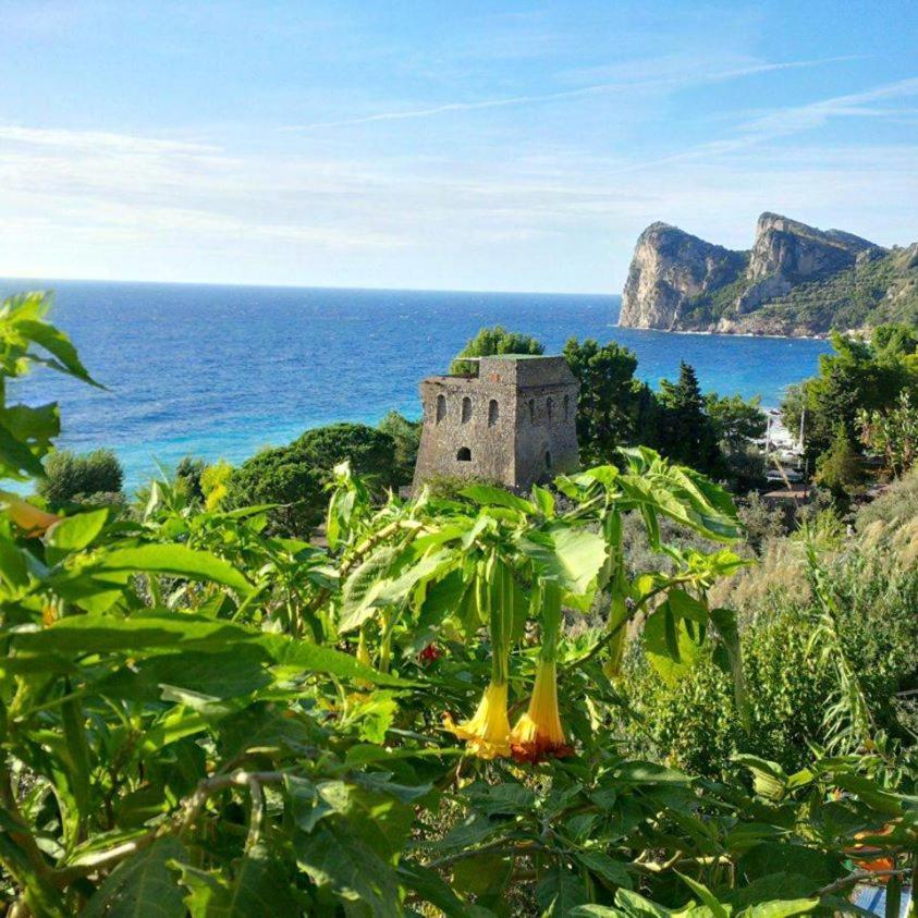 Campsite Villaggio Nettuno *